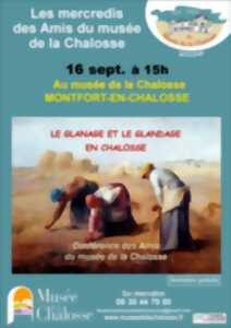 photo Le glanage et le glandage en Chalosse