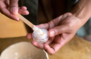 Atelier DIY Baume