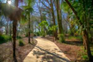 Visite découverte du Parc de Montaury