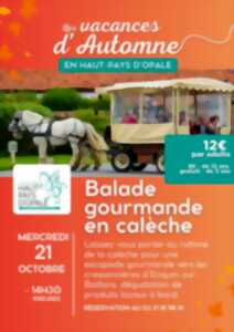 Balade gourmande en calèche - 21 octobre