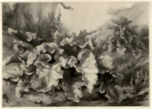 Conférence et atelier gravure