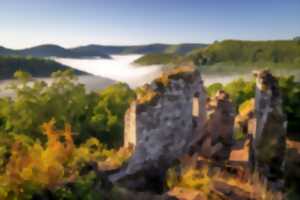 Visites guidées ou libres du Château du Schoeneck