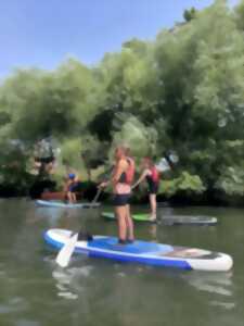 Balade en Stand Up Paddle