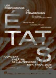 photo Les Percussions de Strasbourg en concert