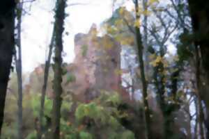 photo Club Vosgien : Le château du Schwartzenbourg