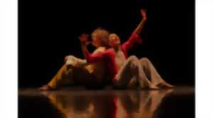 photo Espace Dantza - Danse 