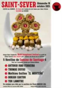 42° Semaine Taurine