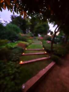 Nocturne au Parc floral
