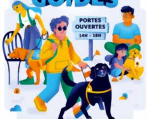 photo La Journée des chiens guides