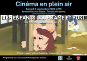 Cinéma en plein air 
