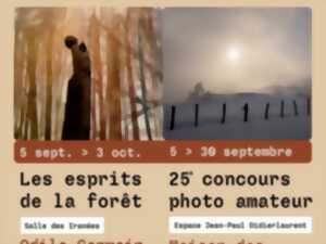 Exposition les esprits de la forêt