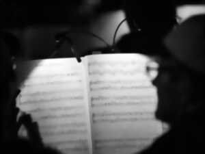 photo Concert