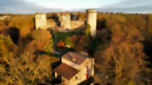 photo Visite guidée du château du Coudray Salbart à Echiré