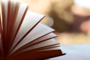STAND DE LIVRES