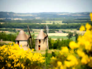 photo JEP 2026 - LES MOULINS DU MAS-SAINTES-PUELLES