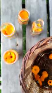 ATELIER CONFECTION D'HUILES AVEC DES VÉGÉTAUX DU JARDIN