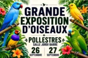 photo GRANDE EXPOSITION D'OISEAUX