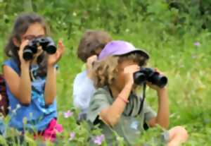 photo Atelier nature : à la découverte des oiseaux (3-5 ans)