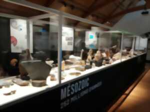 Visite commentée (spéciale famille) expo 