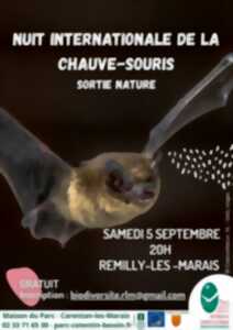 photo Rencontre avec les chauves-souris