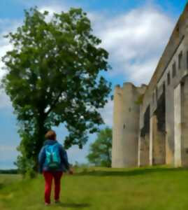 photo Le défi du Comte de Nevers