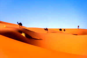 photo Lecture musicale : maisons de sable