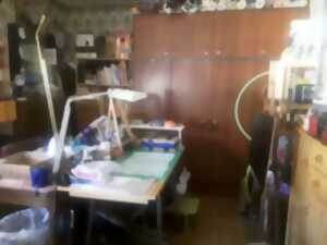 photo Visite de l'atelier de Iana Nicolle