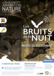 Les bruits de la nuit