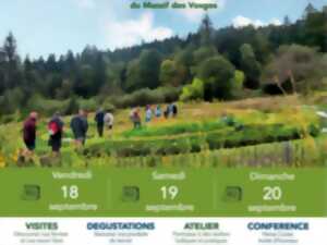 Les petites bébettes du jardin d'chez 'Sauvages'