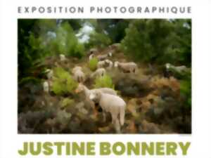 JUSTINE BONNERY 