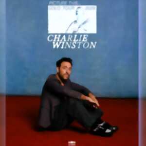 photo Concert - Charlie Winston, Solo Tour