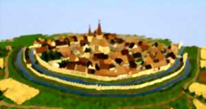 photo JEP : modélisation de Rouffach sur Minecraft