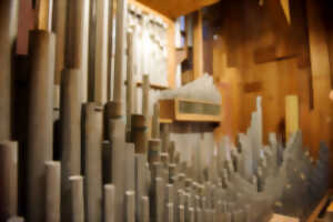 photo JEP : découverte de l'orgue