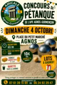 photo Concours de pétanque