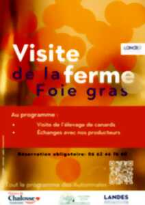 photo Atelier visite de la ferme par Marion