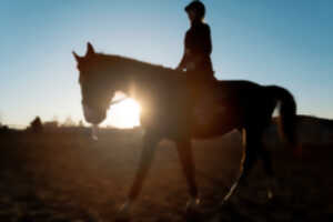photo Concours de CSO
