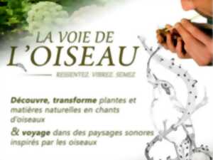 photo Atelier - La voie de l'Oiseau