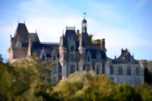 photo Visite du château de Montigny-le-Gannelon