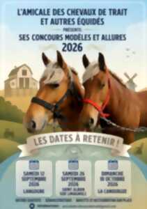 photo CONCOURS DE MODELE ET ALLURES DE CHEVAUX DE TRAIT