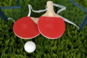 photo TENNIS DE TABLE