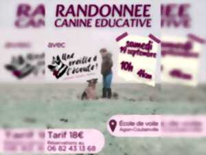 photo Randonnée canine éducative