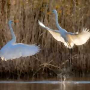 photo Exposition photographies 