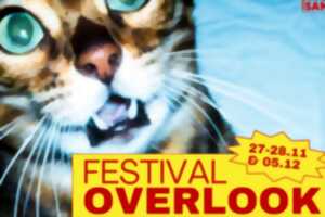 photo Rocksane | Festival Overlook