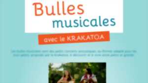 photo Bulles Musicales - Bulle des Andes