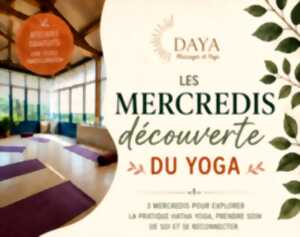 photo Séance de Hatha Yoga