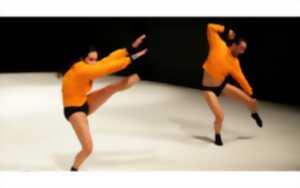 photo Espaces Pluriels - Danse 