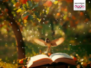 photo Exposition - Observons les oiseaux