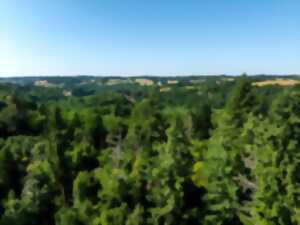 photo Découvrir le sentier d'interprétation de la forêt de Ligoure