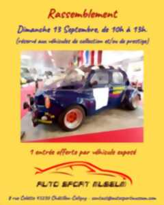 photo Rassemblement voitures collections/prestige