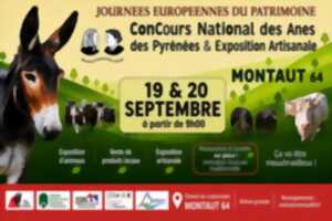 photo Concours national des ânes des pyrénées